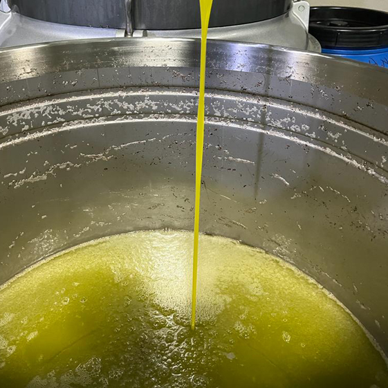 Leleg Organik Tarım