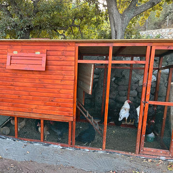 Leleg Organik Tarım