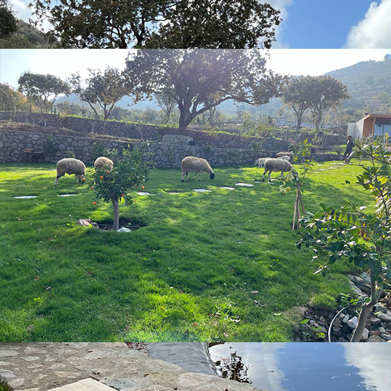 Leleg Organik Tarım