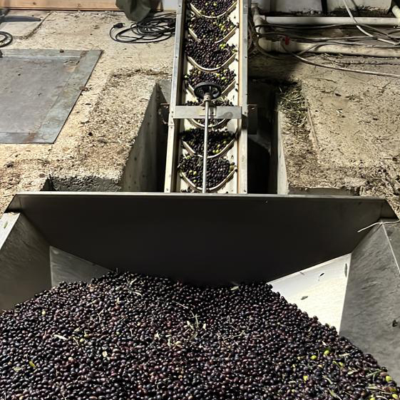 Leleg Organik Tarım