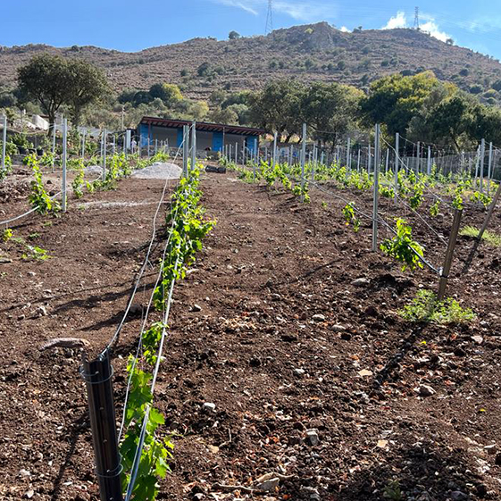 Leleg Organik Tarım